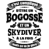 BOGOSSE ET SKYDIVER