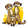 Erdmännchen Familie