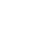 THE MANAGER