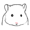 Hamster süß Tiere