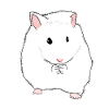 Hamsters eat animals