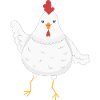 Chicken chickens