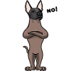 Chien stuc Xoloitzcuintle