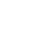 Guerriers vikings