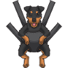 Chasseur allemand Chien