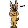Sturer deutscher Schäferhund lustig