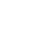 Pissenlit make a wish blanc