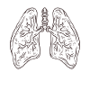 lung