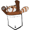 Cute red panda
