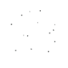 cosmos