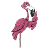 Flamingo Exotic waterbird