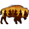 Bison / Buffalo