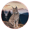 Lynx Nature Freedom Wildcat