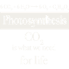 photosythesis