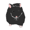 Hamster Animal