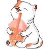 Boba Drink Lover
