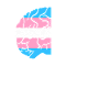 Transgender LGBT Mese Trans Gay Brain Pride