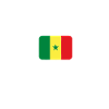 Senegal MMA Team