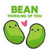 BEAN Think Vegetable Lovers Gift