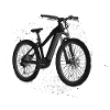 E Bike Noir