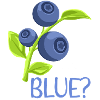 Feelin BlueBerry