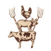 Tiere