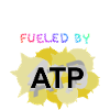 Biologie Lehrer Geschenk