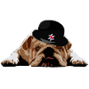 Bulldog hat British