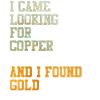 Copper Gold Treasure Treasure Hunt Gift Idea Meme