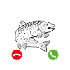 Forelle Angeln