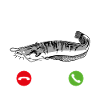 Wels Angeln