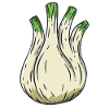fennel
