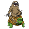 Sloth on turtle