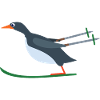 Pinguin Ski