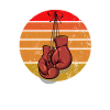 Boxing boxing gloves boxer