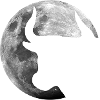 Stier im Vollmond