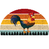 The Chicken Whisperer Chickens lover