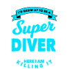 Diver
