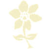 anarchist flower