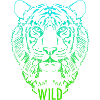 Wild Tigerkopf Skizze