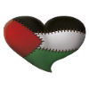 Palestine Heart