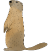 Marmot Alps