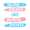 Transights are Human Rights Transgender