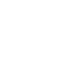 hand-drawn zebra