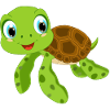 Baby water turtle