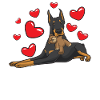 Dobermann avec animal en peluche