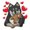Finnischer Lapphund mit Kuscheltier