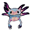 axolotl