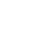 Software architect