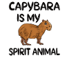 Capybara gift capybara rodent Carpincho